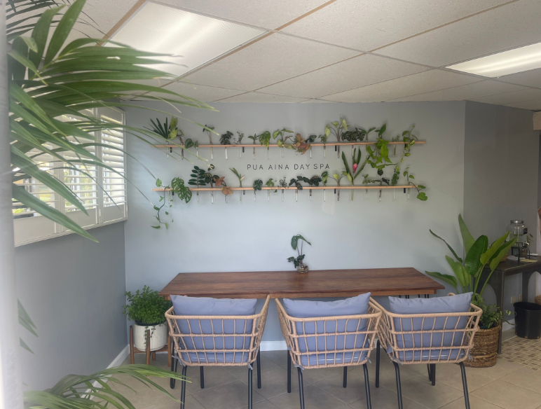 Home JP | Yomogi Herbal Oasis